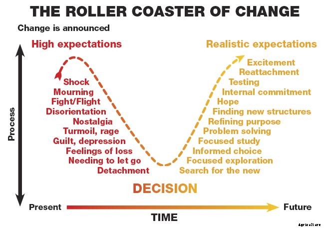 Roller-Coaster-Of-Change Leading Through Change